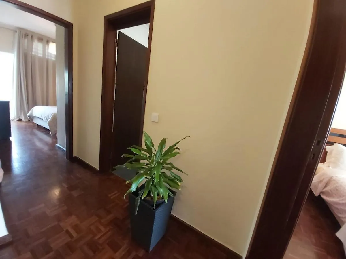 Jose'S Place Holiday Apartment Funchal